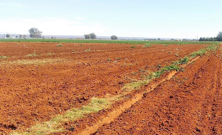 Commercial Property for Sale in Hartswater Rural Northern Cape
